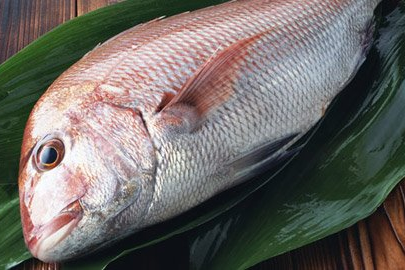 4月のお料理